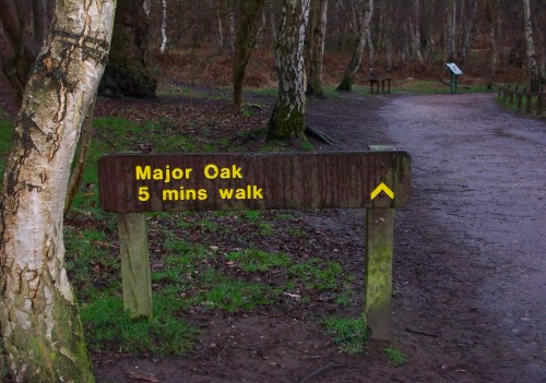 Not far to walk to the famous Major Oak tree, even fat lazy people can experience the wonders of nature, Sherwood Forest (2006)