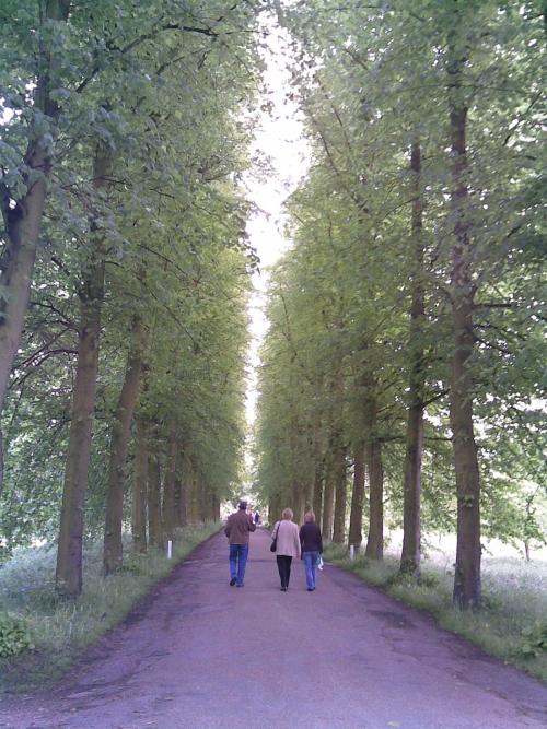 It's just like that scene out of the movie 'Rain Main', Cambridge (2006)