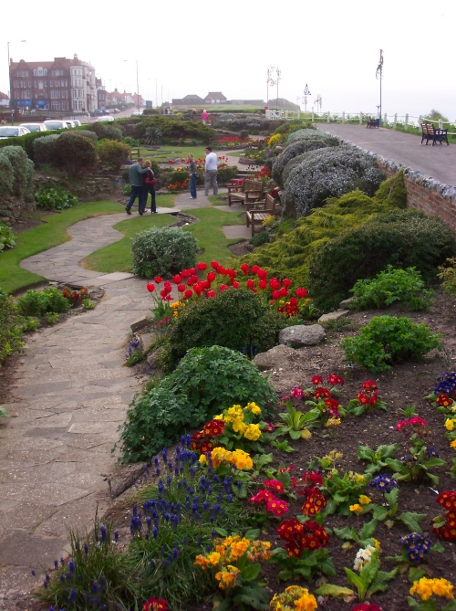 Pretty flowers in a pretty town, Cromer (2006)