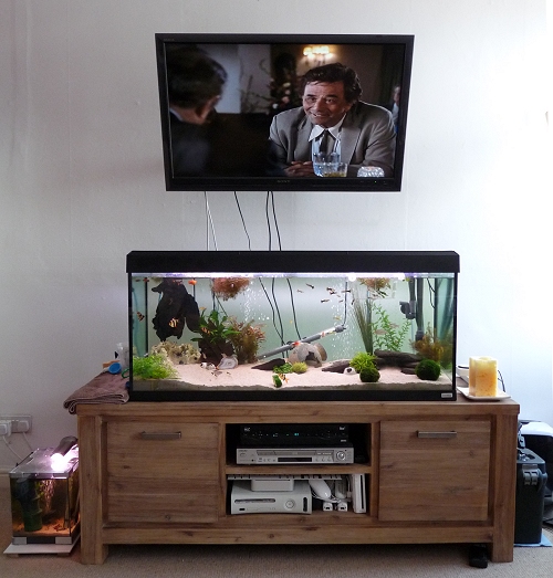 My Fish Tanks, UK (2010)