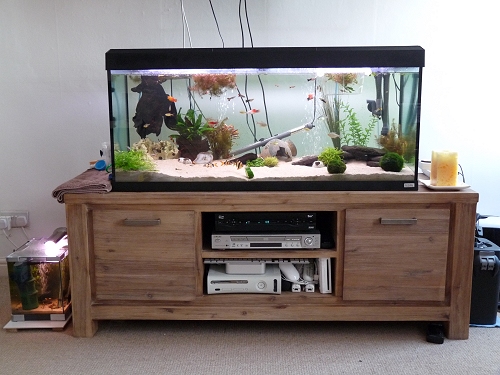 A closer photo of our fish tanks. UK, 2010