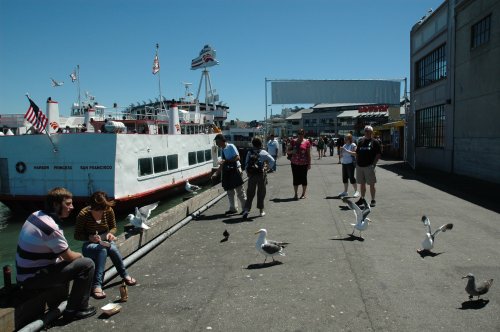 Lots of seagulls and lots of tourists. San Francisco (2007)