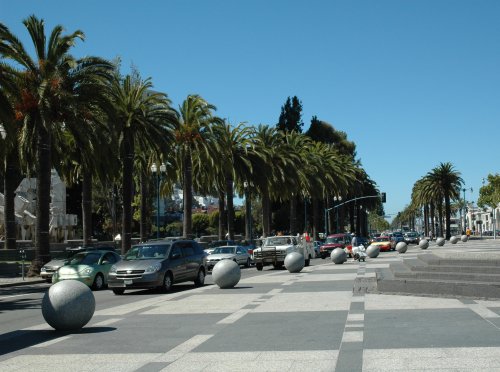 Lots of nicely kept palm trees. San Francisco (2007)