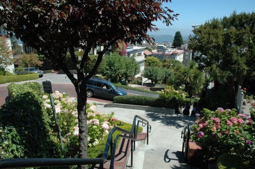 Walking down Lombard Street. San Francisco (2007)