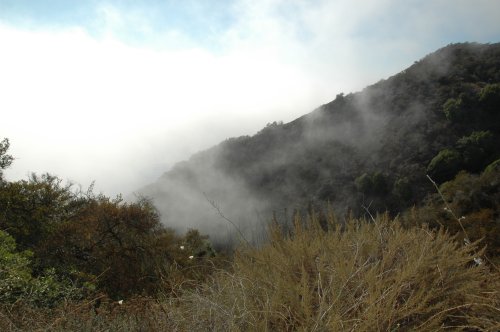 Driving along route 1 high up in the air, at cloud level it would appear. California (2007)