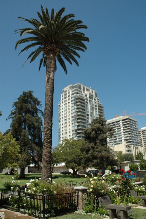 The cemetery is kept in beautiful condition for it's many famous interns. Los Angeles (2007)