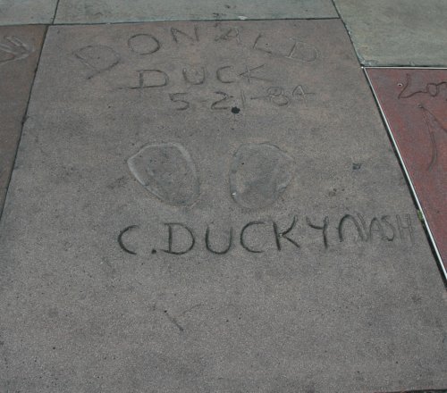 Donald Duck had left his 