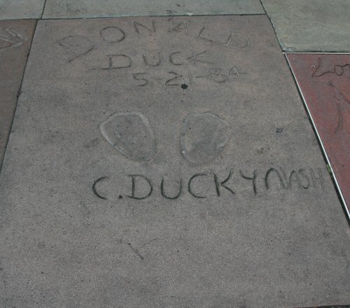 Donald Duck had left his