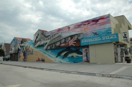 Not sure what it's suppose to mean, but it makes Venice Beach look great. Los Angeles (2007)