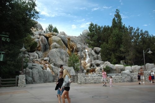 Parent's taking their kids around Disney's