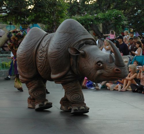 A funny Rhino giving me a curious look. Los Angeles (2007)