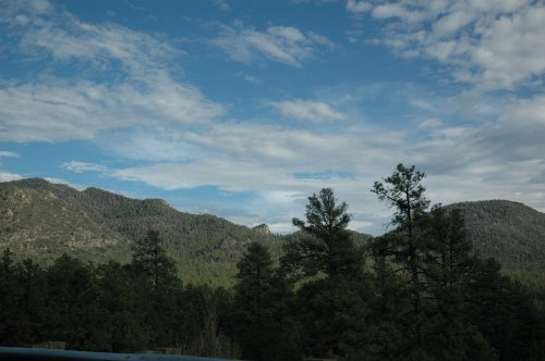 Some rare greenery in the desert. Arizona (2007)