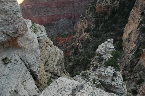 It's a long way down, we could just about see the Colorado river that goes through the Grand Canyon. Arizona (2007)
