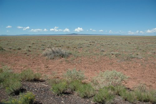 Lots of desert. Not much else except lots of dangerous insects and creatures no doubt. Arizona (2007)