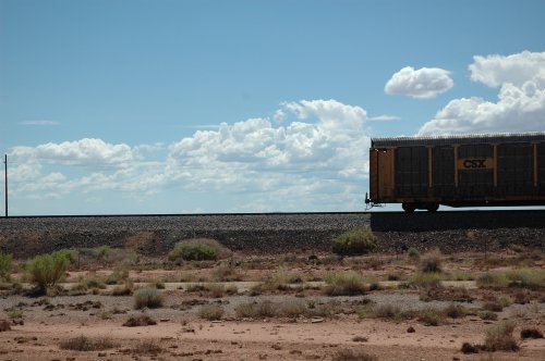 Another train makes the long journey through the desert. Arizona (2007)