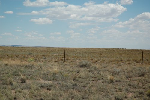 Desert photo #922. Arizona (2007)