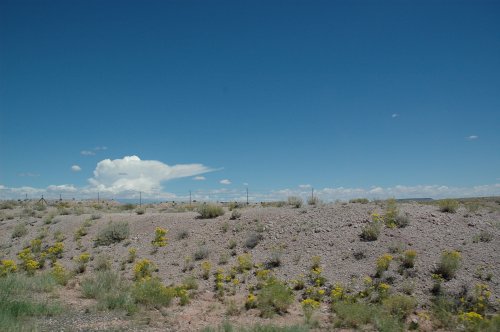 Desert photo #624. Arizona (2007)