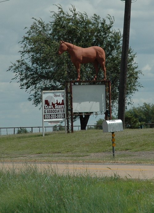 Come down horsy, the man from the glue factory promises he won't take you away, you're safe now. Texas (2007)