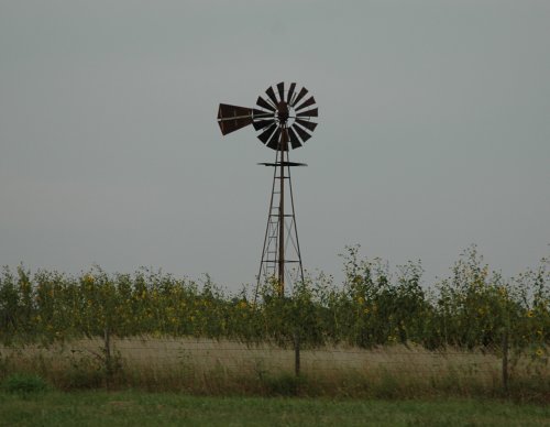 Pretty little windmill, most small farms have one of these. Oklahoma (2007)